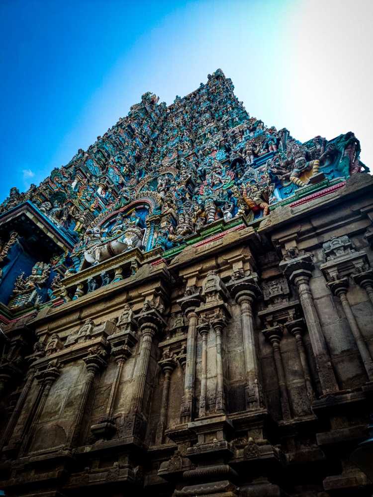 Photograph by Sneha Mithra H