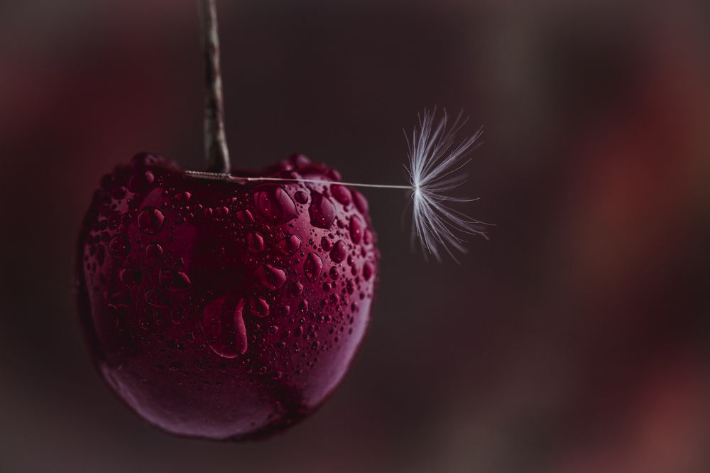 Photograph by Назим Оруджов