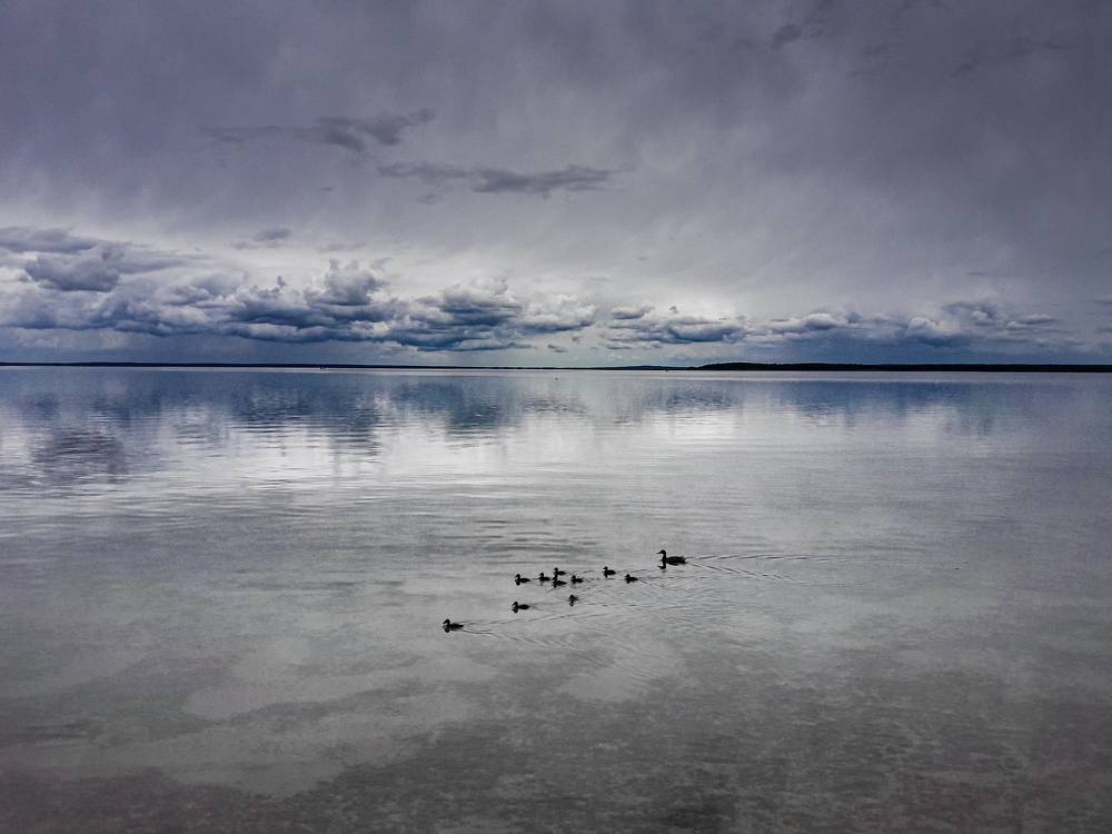 Photograph by Ольга Еженевская