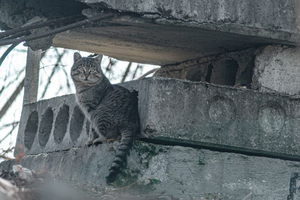 Photograph by Денис Кичев