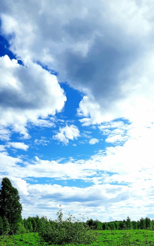 Photograph by Юлия Булатова