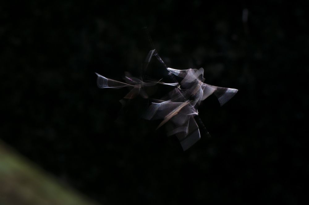 Photograph by Chamara Sulakkhana Polwatta Siriyalage