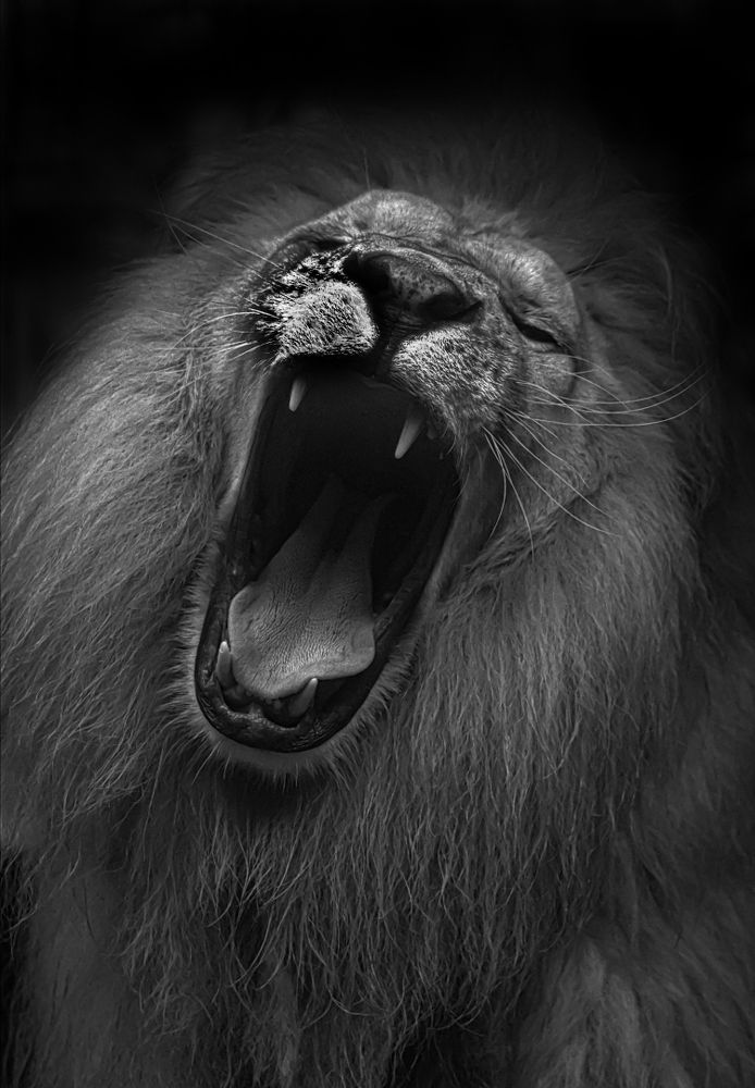 Photograph by Teguh Aria Djana