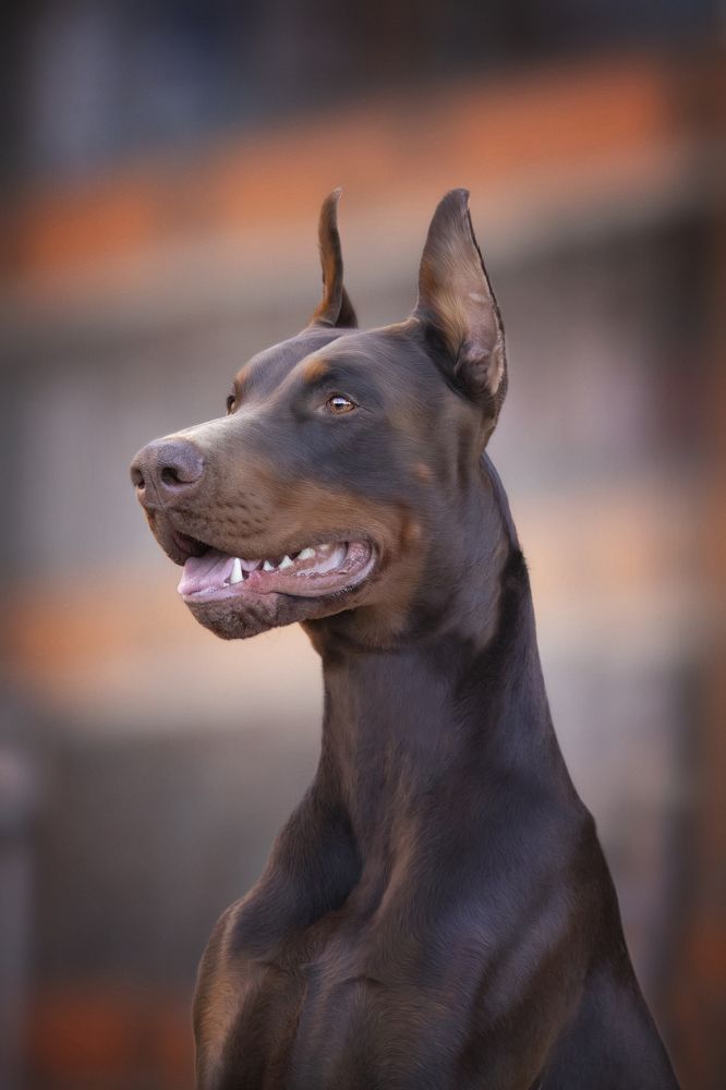 Photograph by Алена Райфутдинова