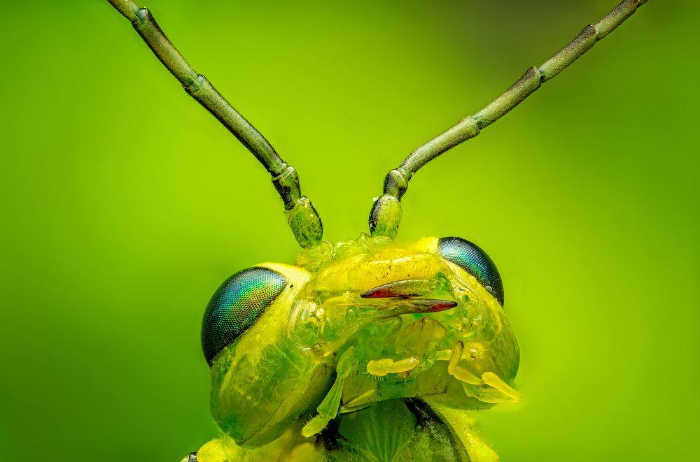 Photograph by Иван Радьков