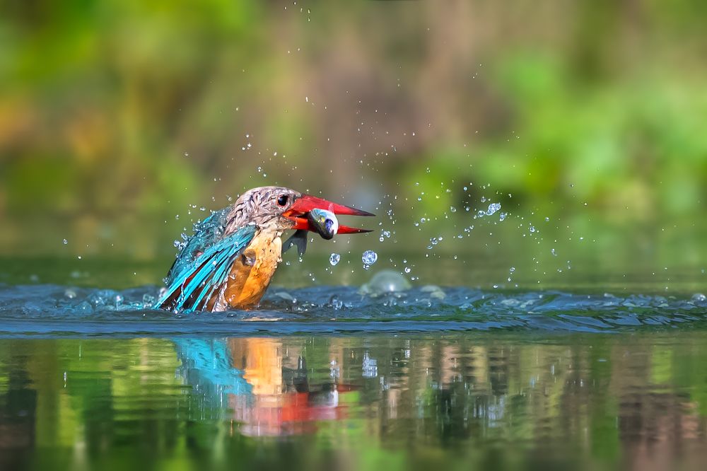 Photograph by Debjyoti Sarkar