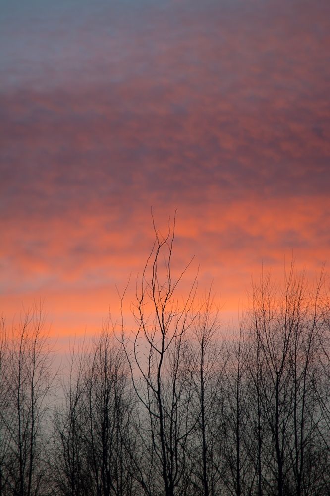 Photograph by Артем Полинин