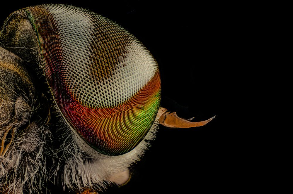 Photograph by Vinodkumar S