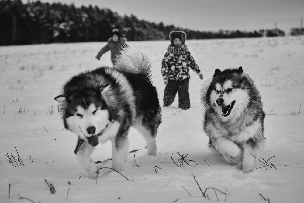 Photograph by Валерий Зенович