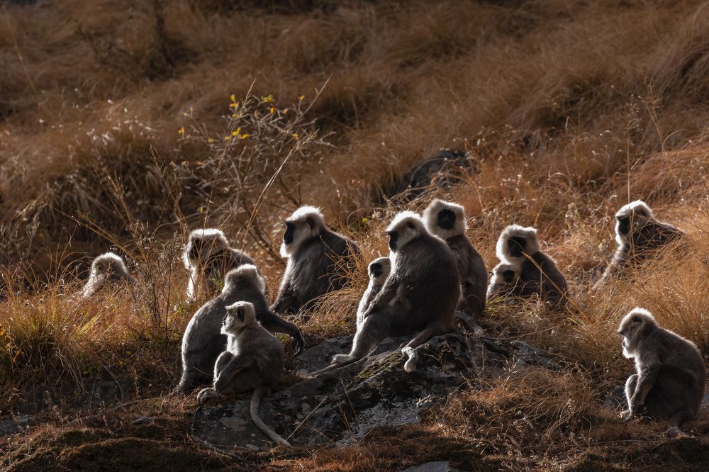 Photograph by Gajendra Singh