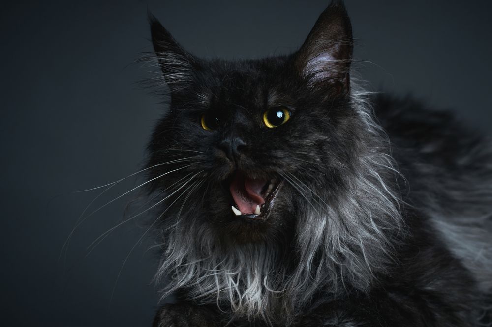 Photograph by Валерий Зенович