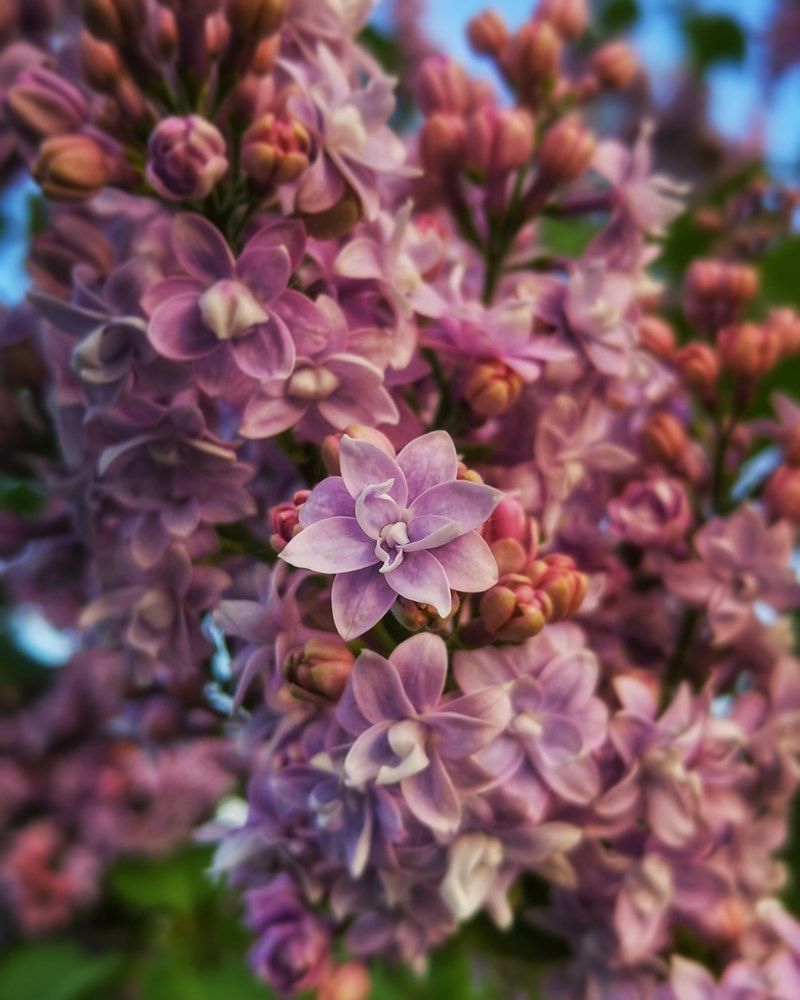 Photograph by Ольга Мажарук