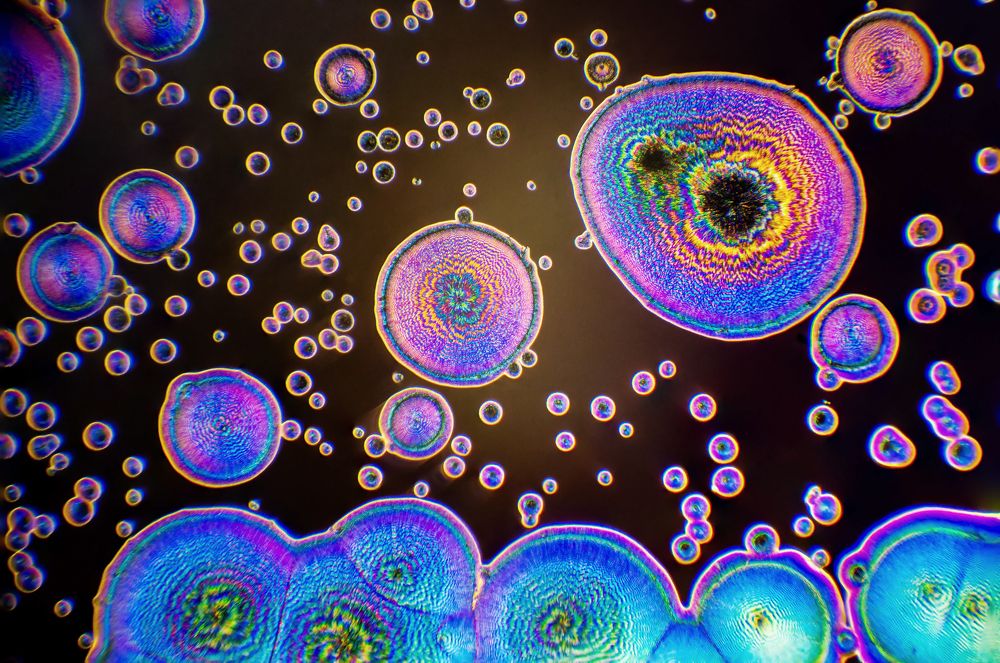 The wonderful world of chemicals