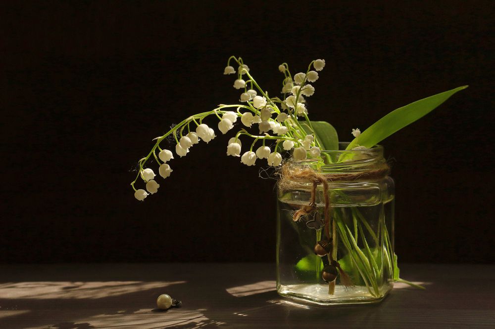 Фотография автора ТАТЬЯНА ЗАХАРОВА