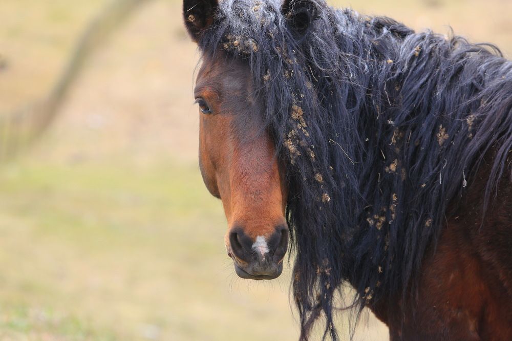 Photograph by Ирина Сушко