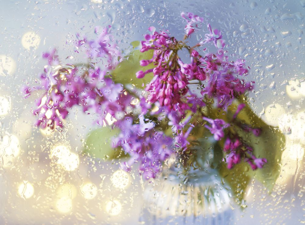 Photograph by Анна Барсукова