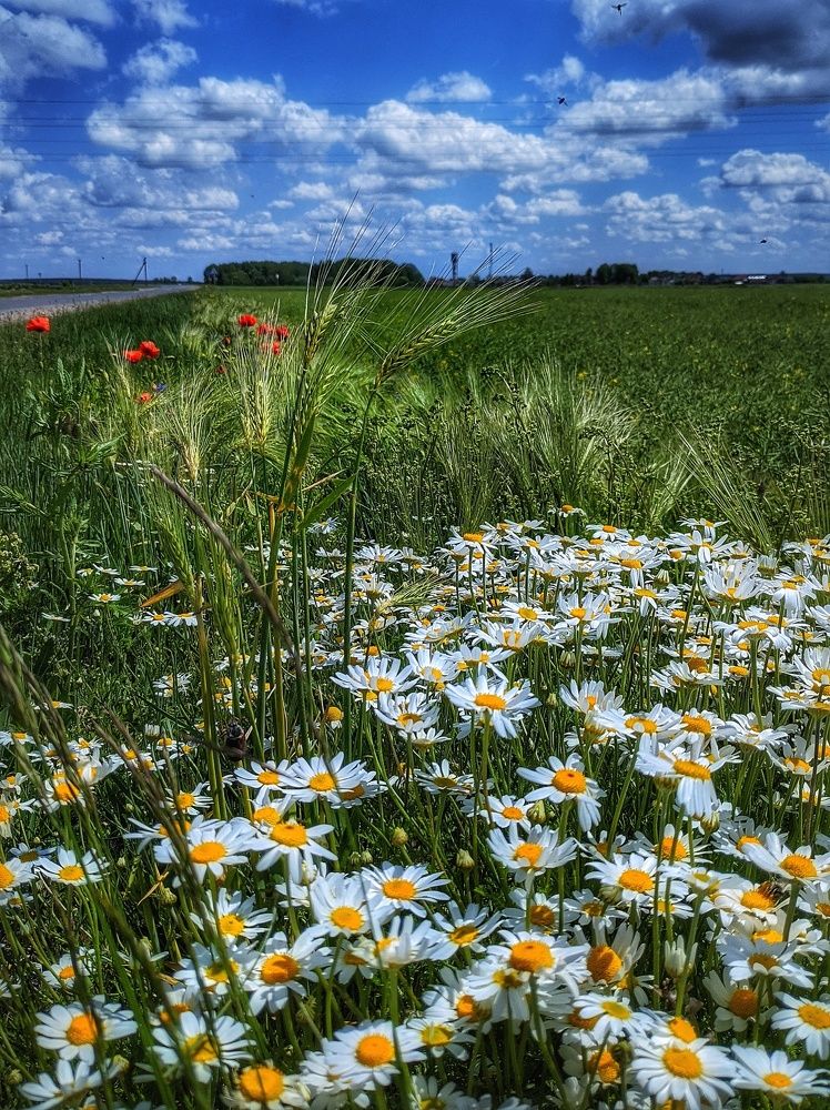 Photograph by Владимир Шаруба