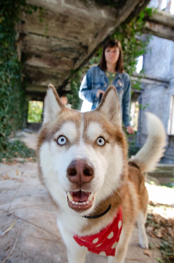 Photograph by Олег Смирнов