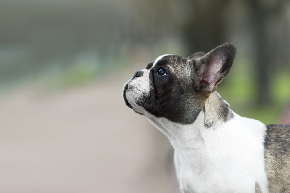 Photograph by Анна Белинская