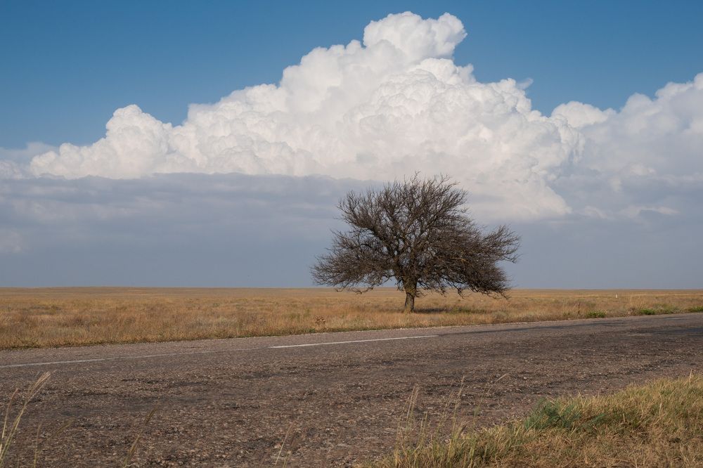Фотография автора Дарья Бугра-Парыгина