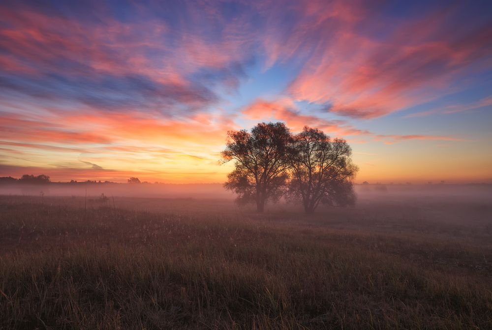 Розовое утро