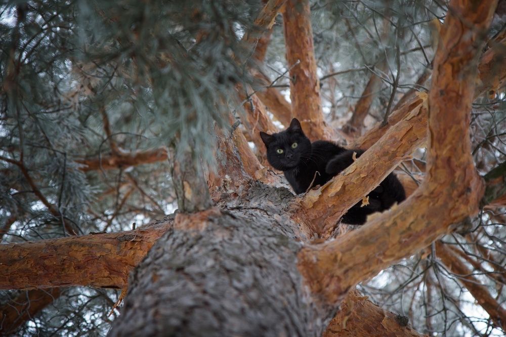 Photograph by Виктория Суркова
