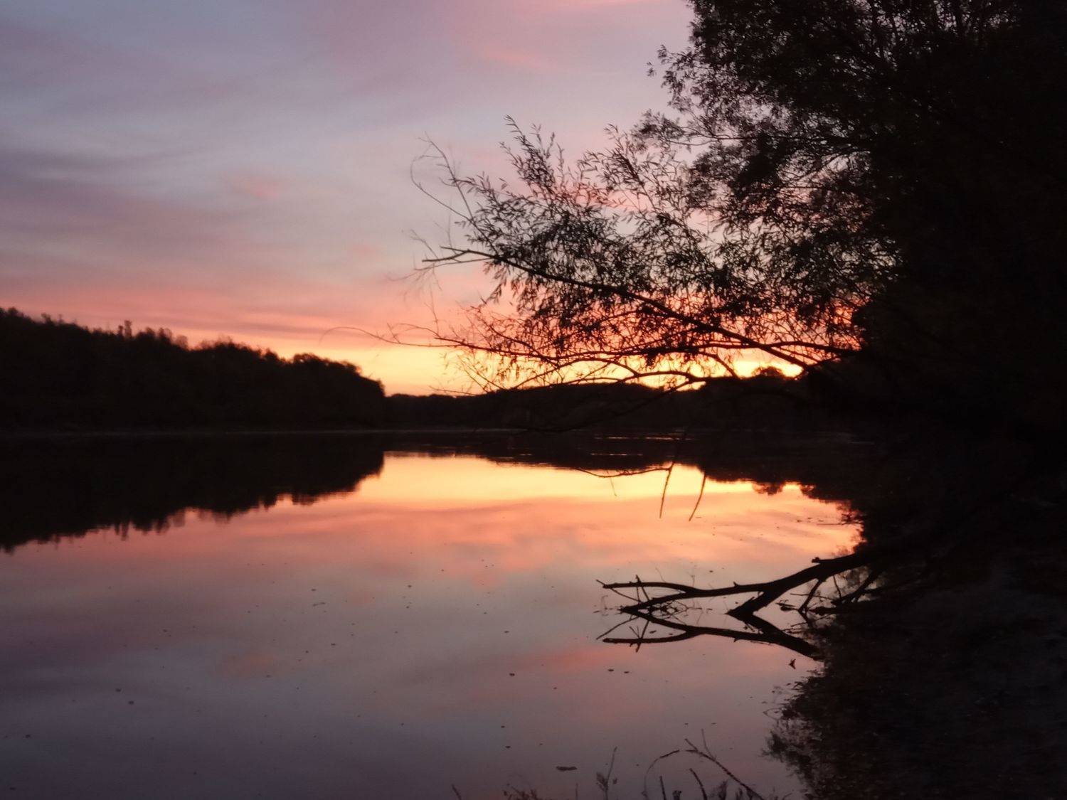 Photo #6133244