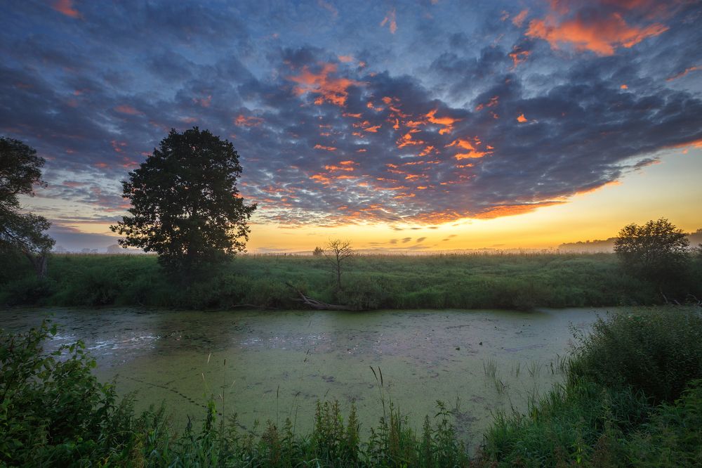 Зловещее утро