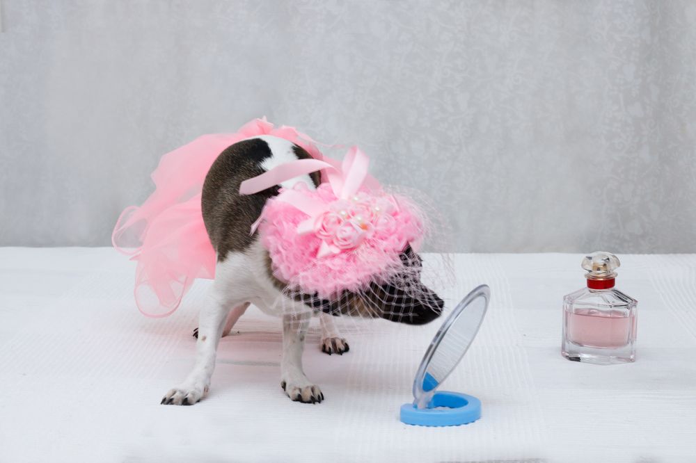 Photograph by Екатерина Матвеева