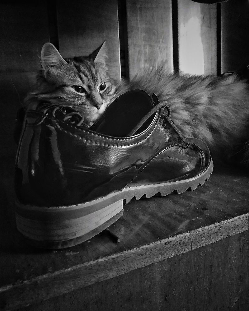 Утро вечера мудренее...