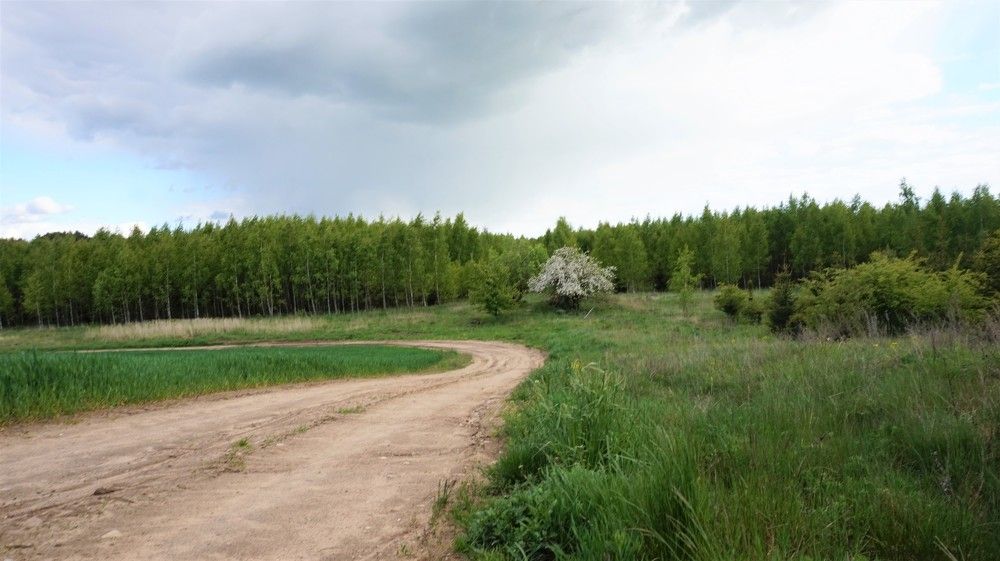 Фотография автора Aiste Adomaitiene