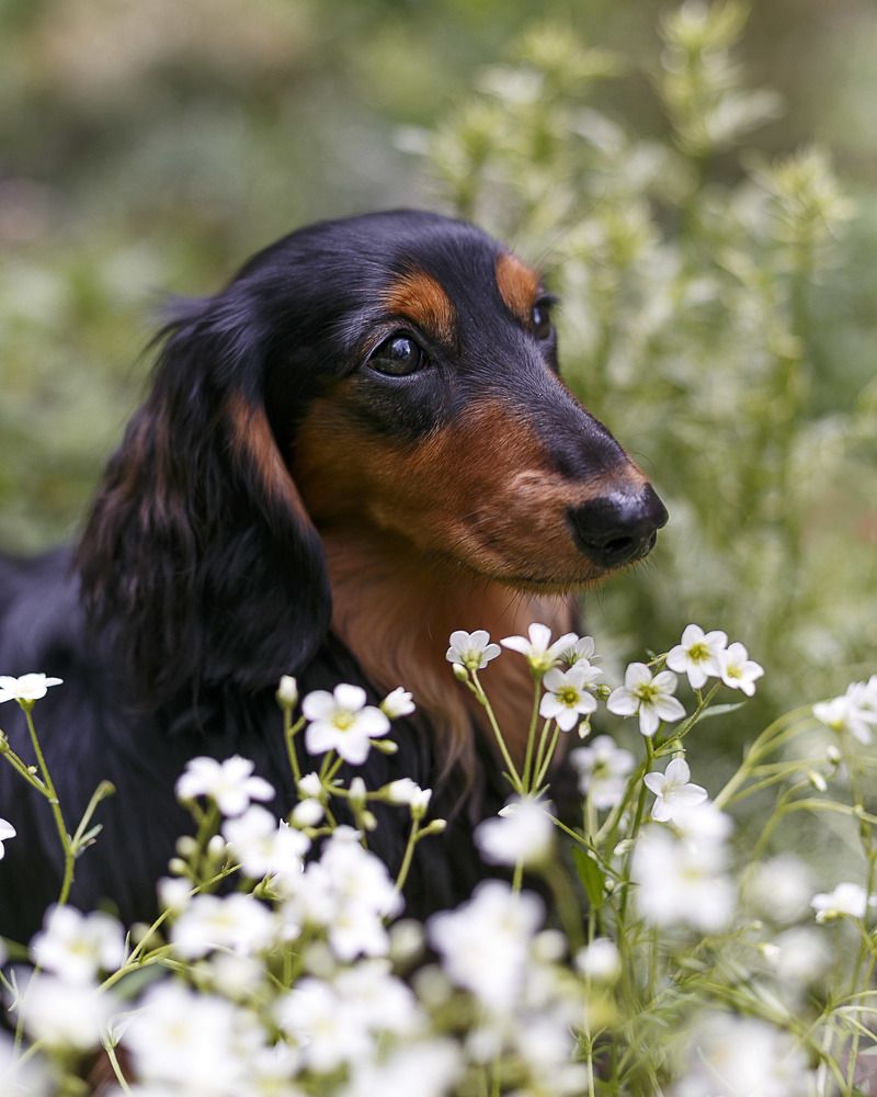 Photograph by Ирина Зенченко