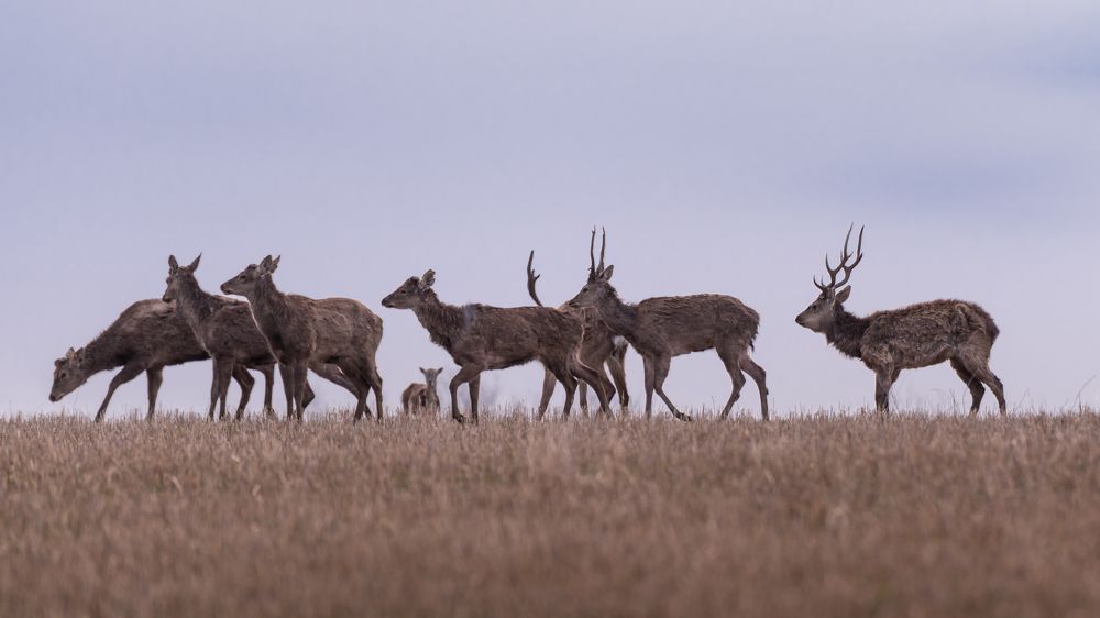 Photograph by Сергей Тригуб