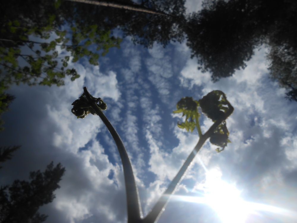 Photograph by Ольга Попова