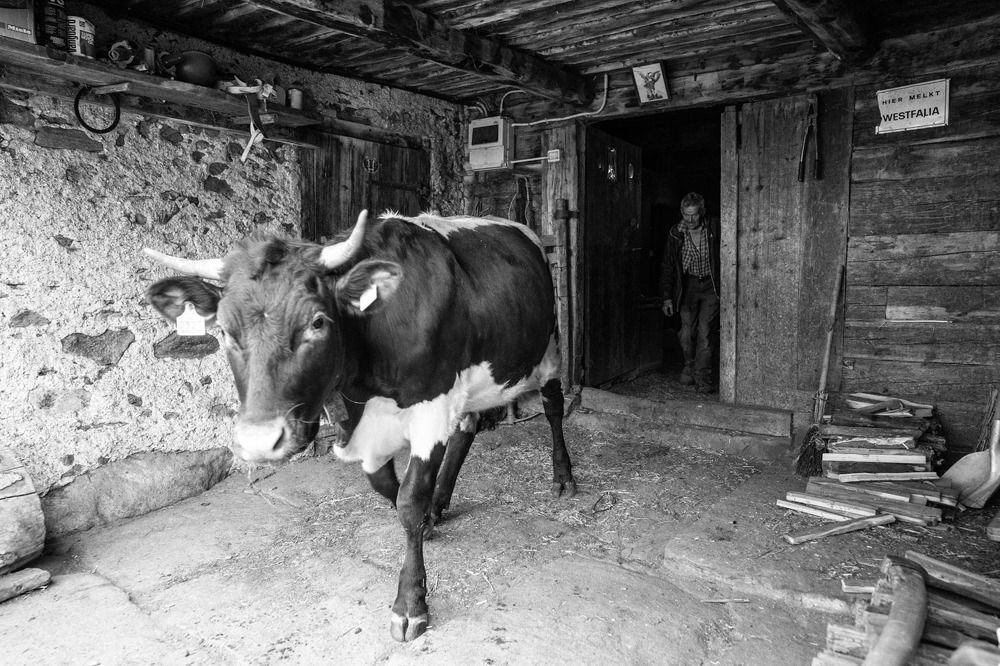 Photograph by Heinz Innerhofer