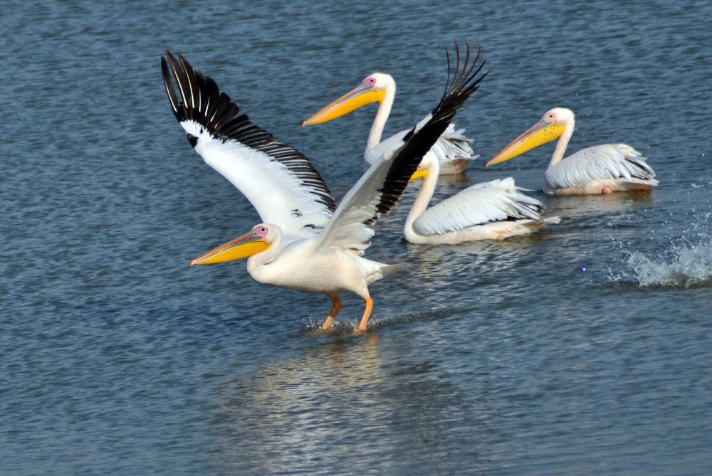 Photograph by Nadia Kushnir