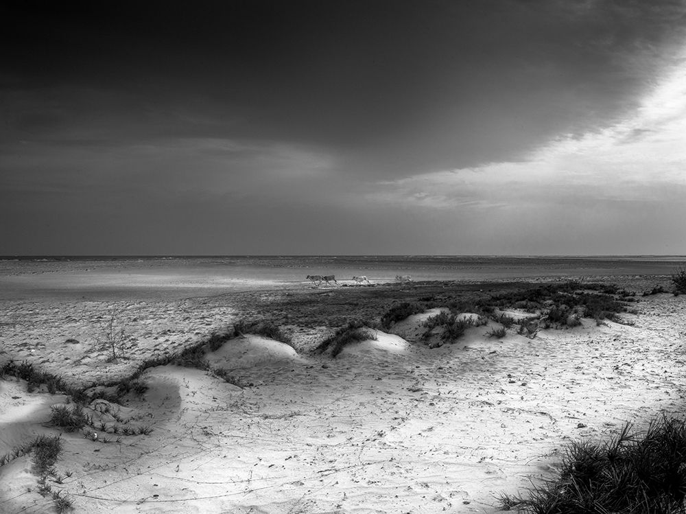 Photograph by pouyan safavi