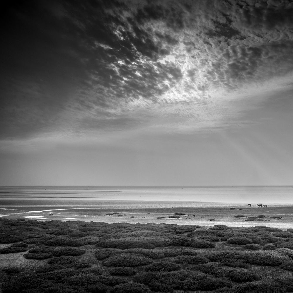 Photograph by pouyan safavi