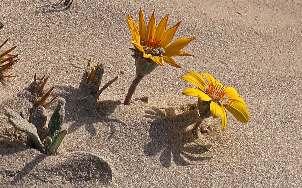 Photograph by Nadia Kushnir