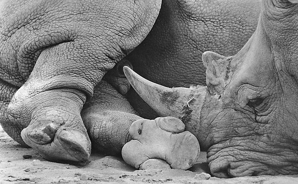 Фотография автора Marina