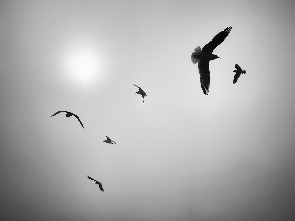 Photograph by Лариса Когтева