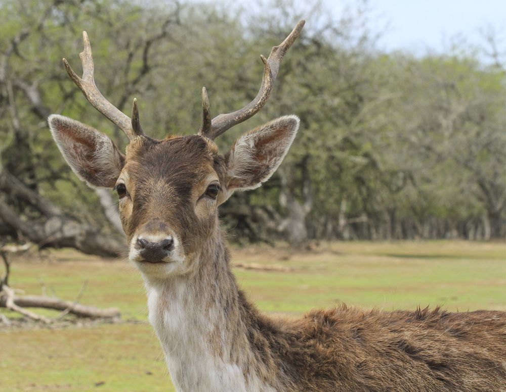 Фотография автора Marina