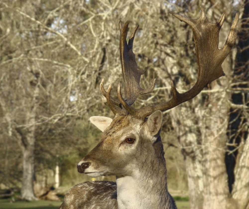 Фотография автора Marina