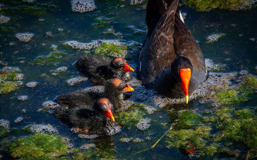 Photograph by Cathleen Bester