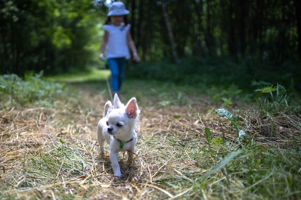 Photograph by Ирина