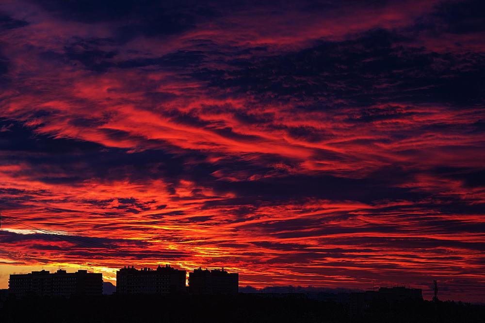 Фотография автора Дмитрий Мартов