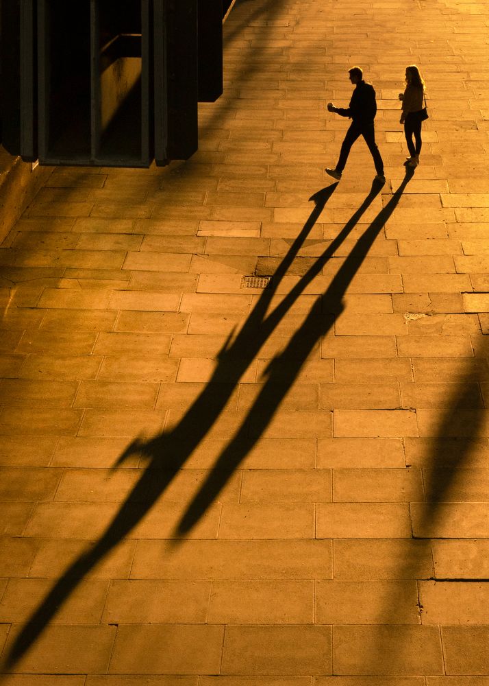 Photograph by Selaru Ovidiu