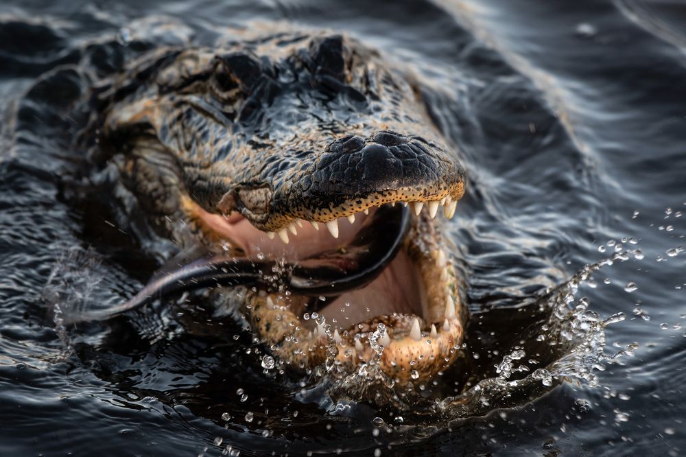 Photograph by Cathleen Bester