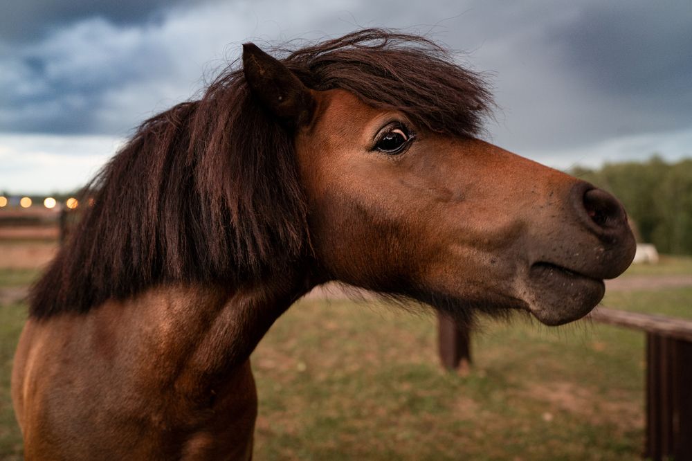Photograph by Ирина Зенченко