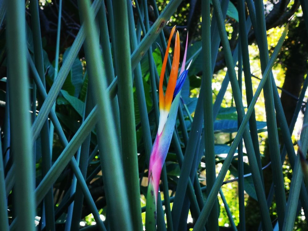 Photograph by Игорь Кощеев